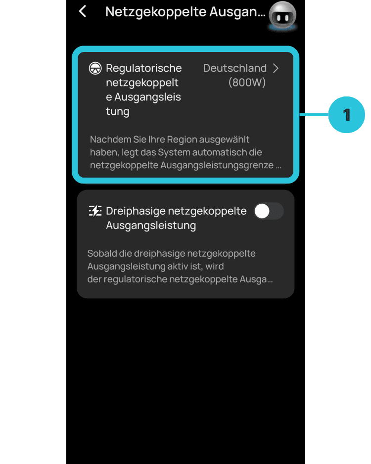 Regulatorische netzgekoppelte Ausgangsleistung auf Deutschland 800 Watt